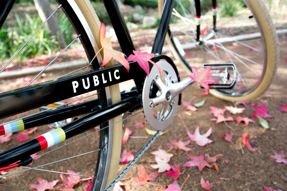 PUBLIC V7 in Autumn
