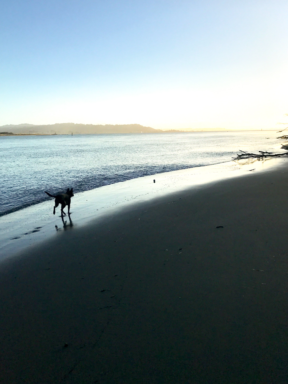 Pixel on the beach