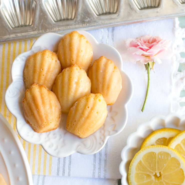 ArnoldPalmerMadeleines-20