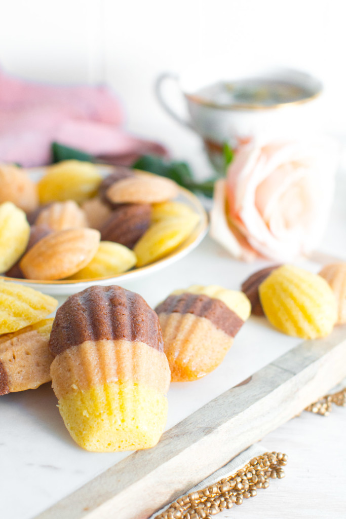 Chocolate, Strawberry and Vanilla Neapolitan Madeleines
