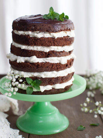Mint Chocolate Cake