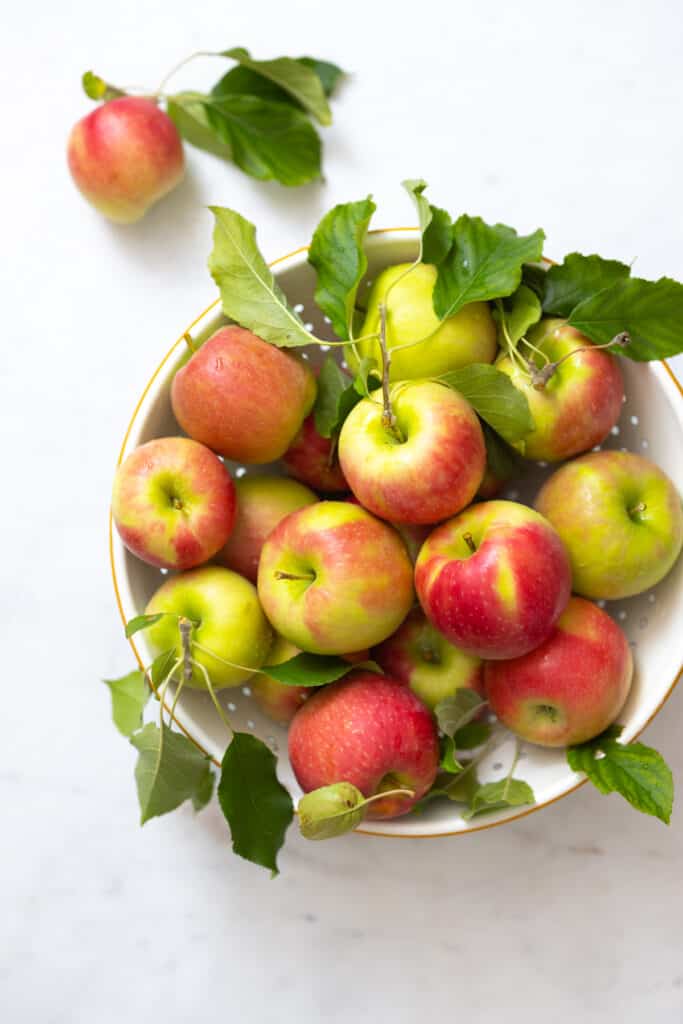 apples from my tree